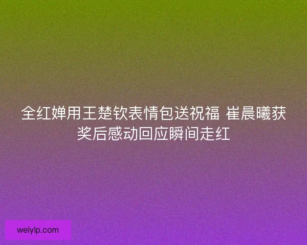 全红婵用王楚钦表情包送祝福 崔晨曦获奖后感动回应瞬间走红